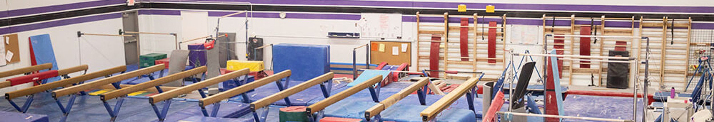 Gymnastics East coaches working with athletes